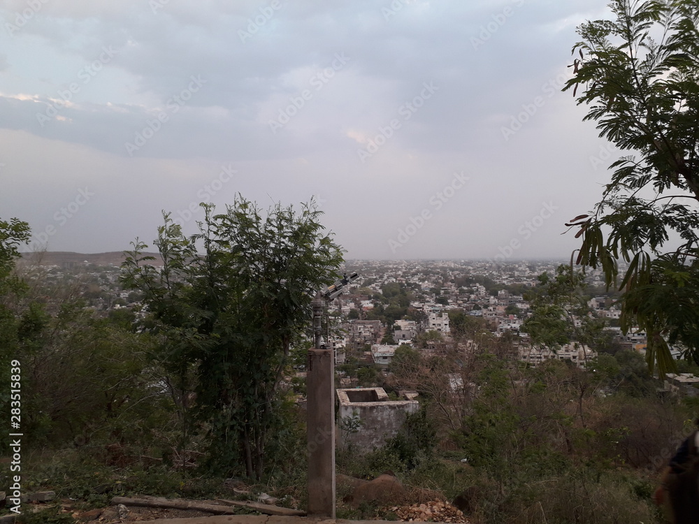 Obraz premium trees and blue sky