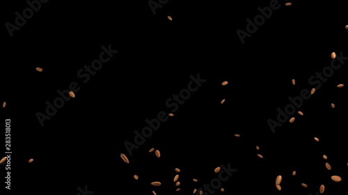 3D animation of a almond flow with alpha layer
