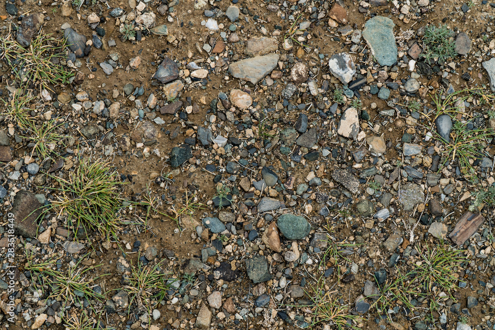 The texture of fine stone on the ground with grass and flowers. Background Image Macro Photography The texture of fine stone on the ground with grass and flowers. Background Image Macro Photography