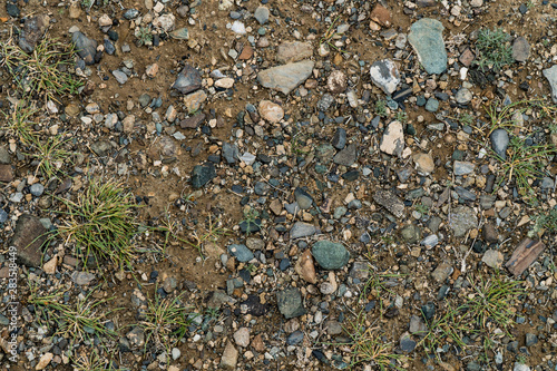 The texture of fine stone on the ground with grass and flowers. Background Image Macro Photography