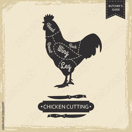 Butchers library vintage page - chicken cutting vector poster design. Illustration chicken cut, butcher scheme guide
