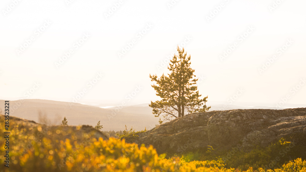Fototapeta premium Sunset on the northern parts of Finland