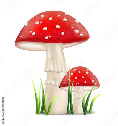 Red mushrooms vector realistic. Growing Detailed 3d illustrations
