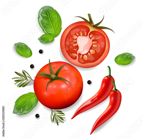 Tomato and chili isolated vector realisic. 3d illustration white backgrounds