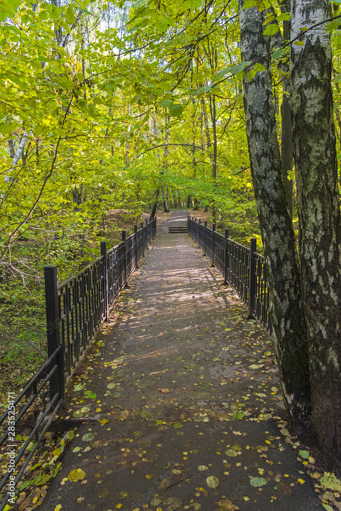 The bridge over a small ravine. October.