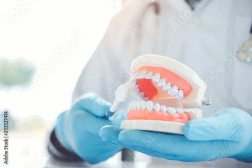 Dentist learning how to brush teeth photo