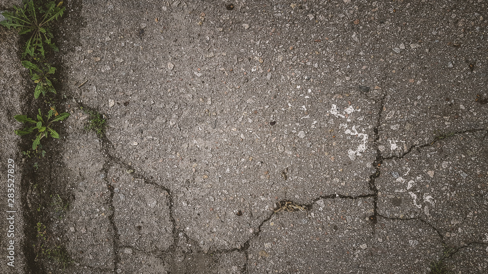 Obraz premium Loft stone wall background texture