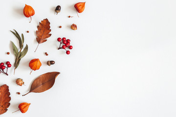 Autumn composition. Physalis flowers, eucalyptus leaves, rowan berries on white background. Autumn, fall, thanksgiving day concept. Flat lay, top view, copy space