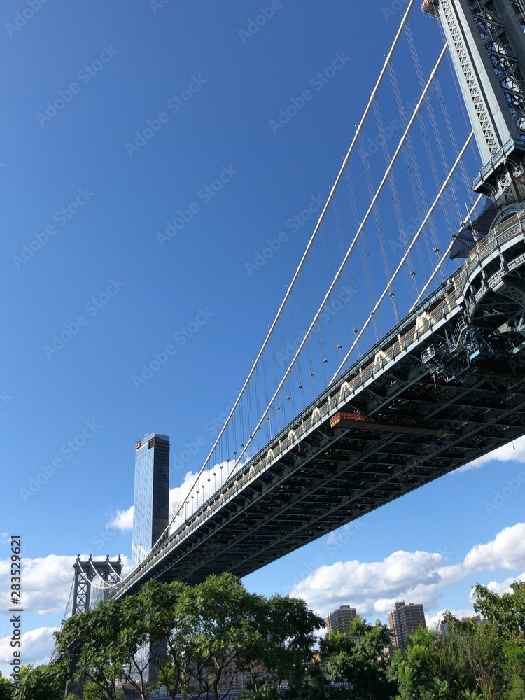 Obraz premium Bridge View