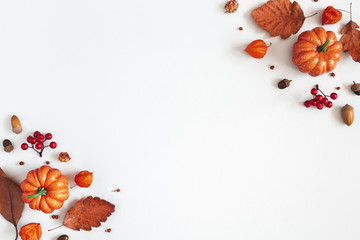 Autumn composition. Dried leaves, pumpkins, flowers, rowan berries on white background. Autumn, fall, halloween, thanksgiving day concept. Flat lay, top view, copy space