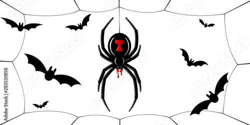 Spider Black Widow, cobweb, bats. Red black spider 3D, spiderweb, isolated white background. Scary Halloween decoration web. Symbol networking, animal arachnid, creepy insect fear. Vector illustration