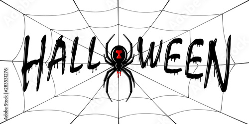 Happy Halloween card. Drip text, spider, web isolated white background. Greeting design banner, Halloween holiday celebration. Horror silhouette spider Black Widow. Flow blood. Vector illustration