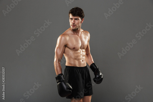 Concentrated handsome young strong sportsman boxer in gloves posing isolated over grey wall background.