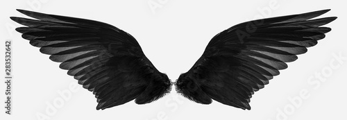 Obraz na plátně bird wings isolated on a white background