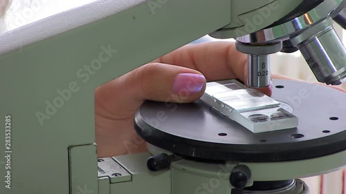  Bacteriological analysis. Laboratory. Staphylococcus Bacterium