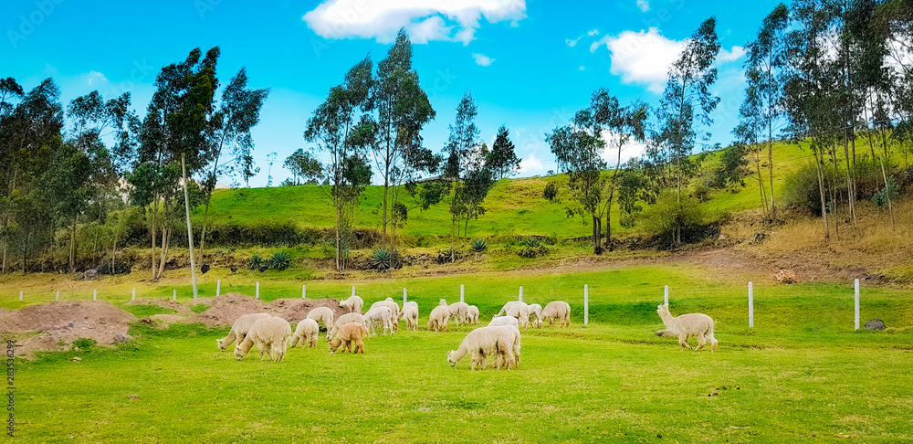 Zuleta- Imbabura- Ecuador .... Geoparque mundial