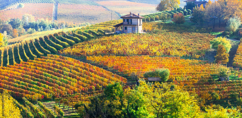 Picturesque countryside of Piedmont with yellow vineyards and small villages. wine region of Northen Italy