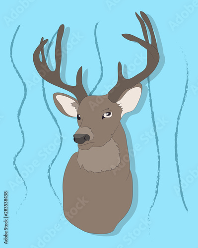 portrait of a deer on a colored background