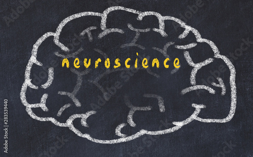 Canvas-taulu Drawind of human brain on chalkboard with inscription neuroscience
