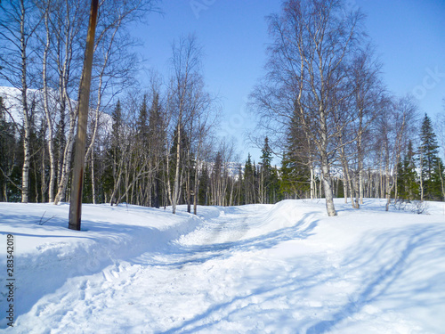 Snowy winter road in the forest on a sunny day in the north-west of Russia.