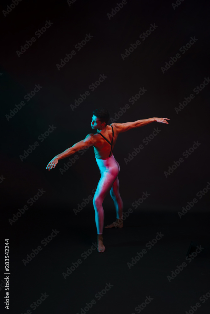 Gifted ballet dancer posing in tights
