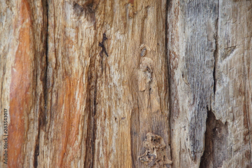 background, old wooden wall, wood pattern