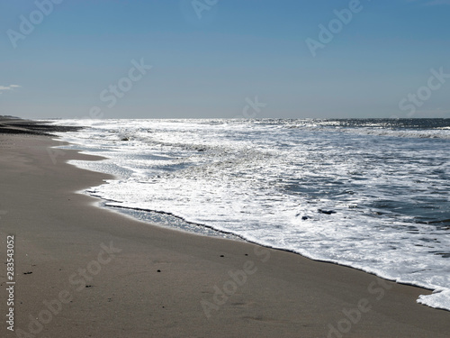 landscape with waves ashore with horizon and gray sky