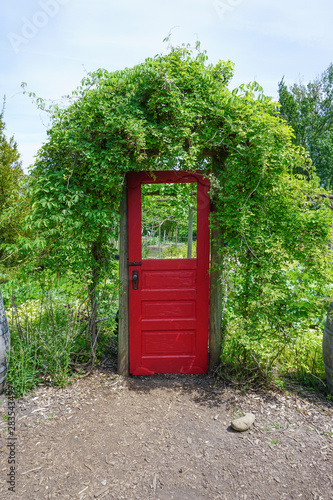 Red door in garden