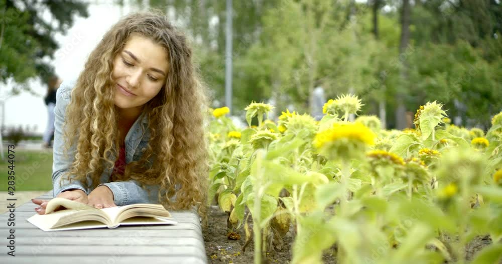 pretty woman is enjoying new book, lying on bench near sunflower field pretty woman is enjoying new book, lying on bench near sunflower field