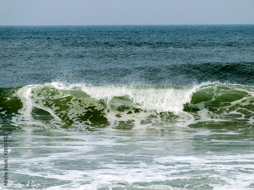 Fototapeta premium landscape with waves ashore with horizon and gray sky