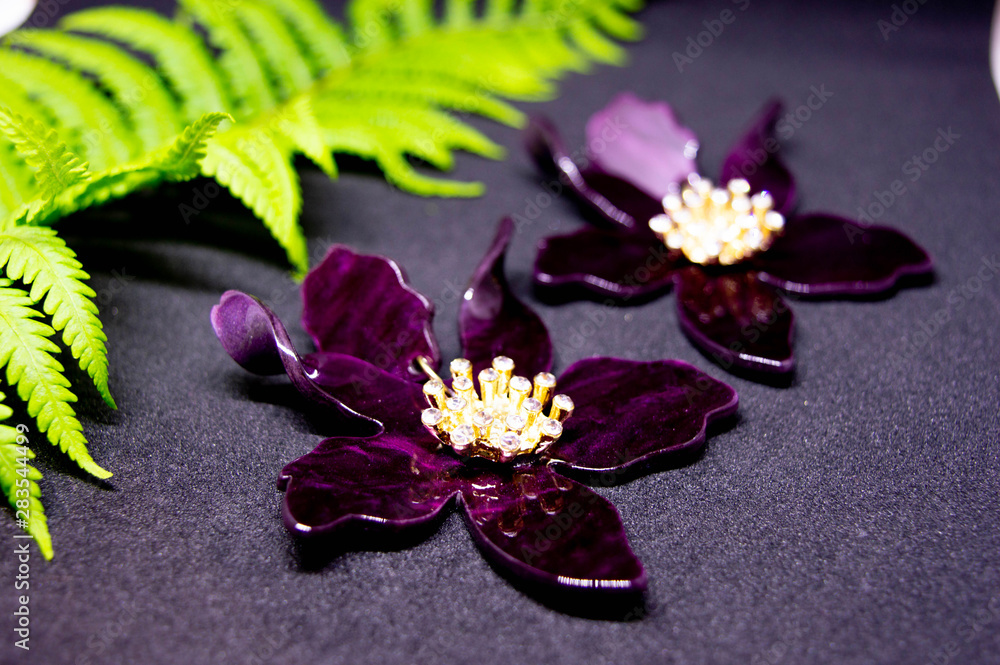 Burgundy jewelry flower with white blooming on dark background. Green fern leaf. Close-up Burgundy jewelry flower with white blooming on dark background. Green fern leaf. Close-up