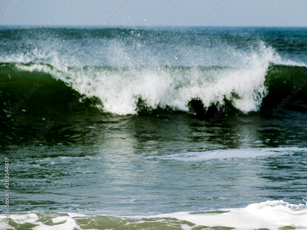 Fototapeta premium landscape with waves ashore with horizon and gray sky