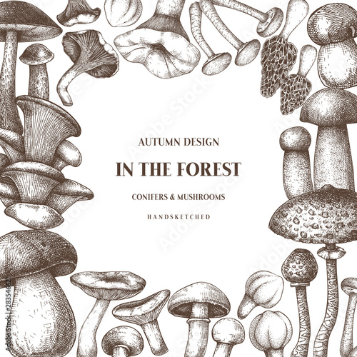 Edible mushrooms vector design. Hand drawn healthy food template. Forest plants sketches. Perfect for recipe, menu, label, icon, packaging. Vintage mushrooms background. Botanical illustration.