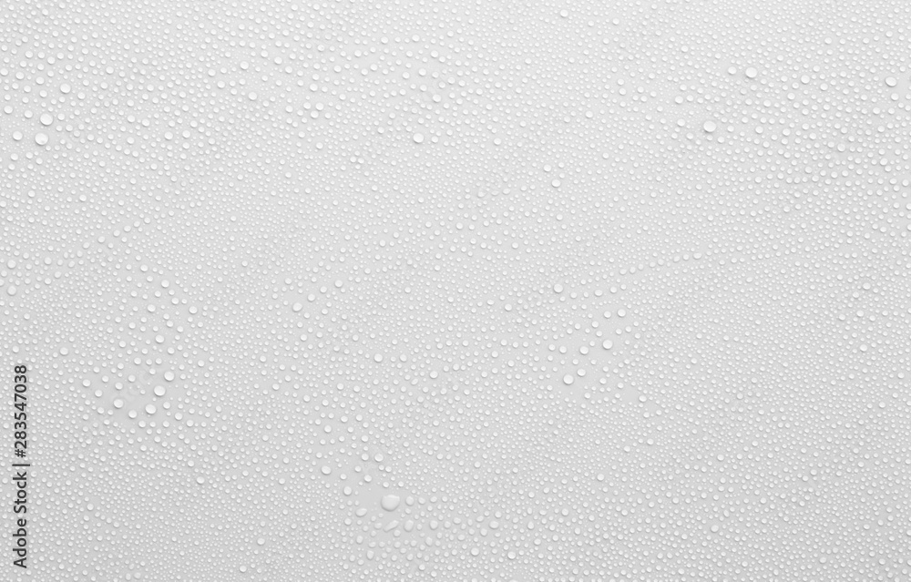 water drop on white surface as background - obrazy, fototapety, plakaty 