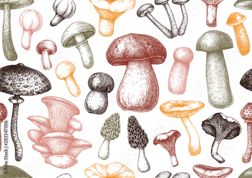 Edible mushrooms vector background.  Forest plants seamless pattern. Perfect for recipe, menu, label, icon, packaging. Vintage mushrooms design. Healthy food elements. Hand drawn illustration.