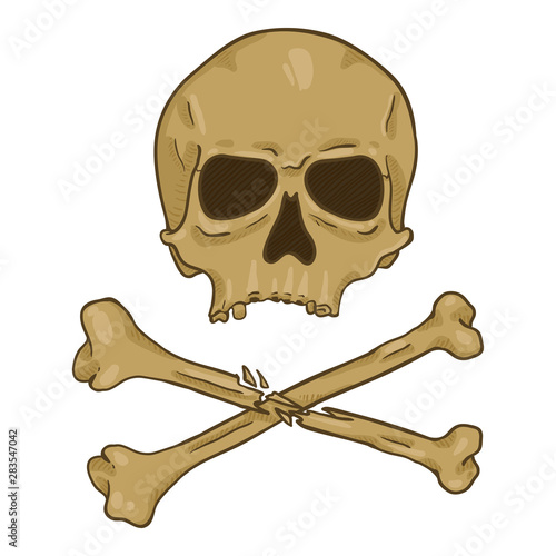Vector Cartoon Skull with Cross Bones