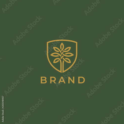 Abstract round tree logo icon. Universal creative premium solid floral leaf and shield symbol. Cosmetic and spa. Vector circle life tree icon sign.