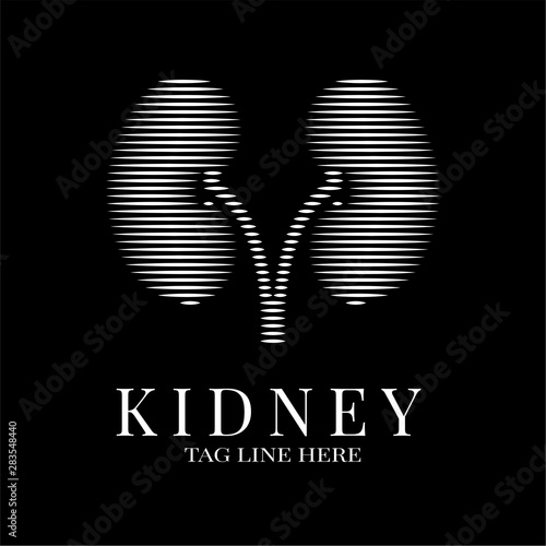 Kidney Urology Care logo designs vector, Human Kidneys Icon . Medical Hospital Clinic Symbol