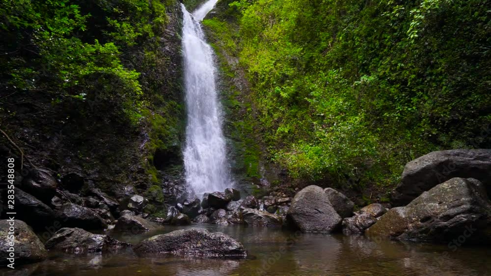 Waterfall in Rainforest Waterfall in Rainforest