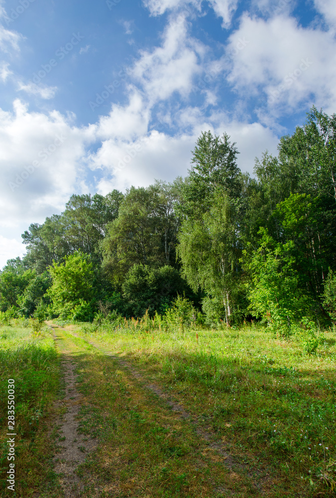 Beautiful summer nature meadow with road and forest Beautiful summer nature meadow with road and forest