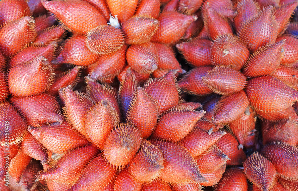 close up of Salacca or snake fruit background close up of Salacca or snake fruit background