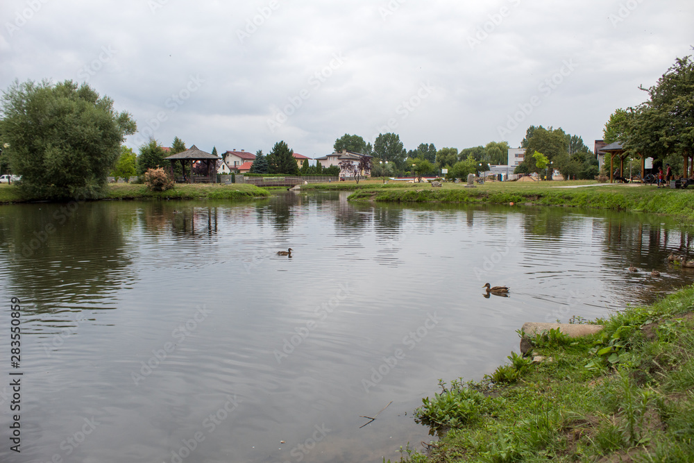 Lake with floating ducks, green trees and a lawn in the city park of the Polish city of Belchatow on a summer day. Lake with floating ducks, green trees and a lawn in the city park of the Polish city of Belchatow on a summer day.