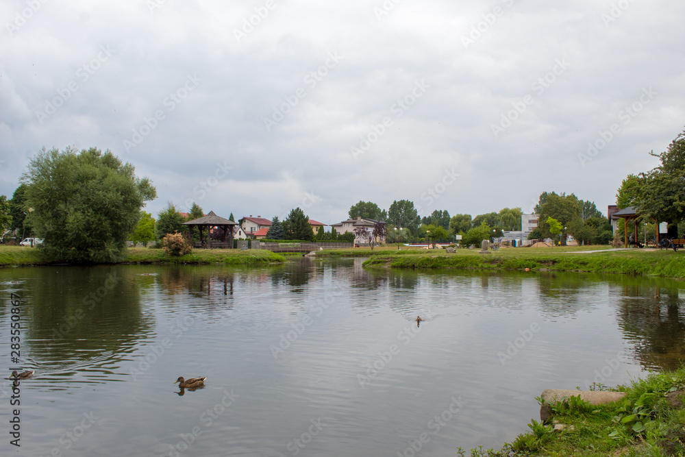  Lake with floating ducks, green trees and a lawn in the city park of the Polish city of Belchatow on a summer day.