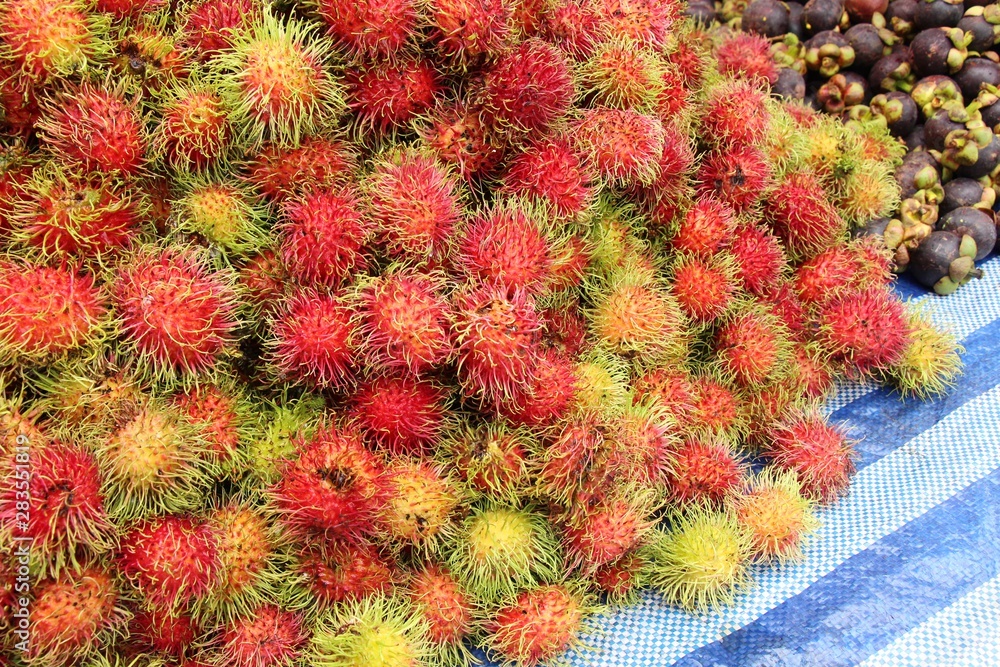 Sweet fruits rambutan delicious in the market Sweet fruits rambutan delicious in the market