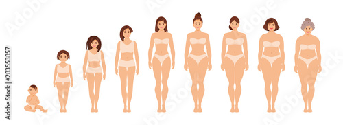 Female anatomy of different ages vector