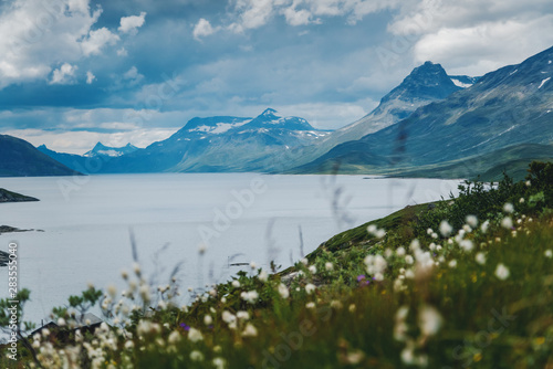 Summer scenery in Jotunheimen national park in Norway