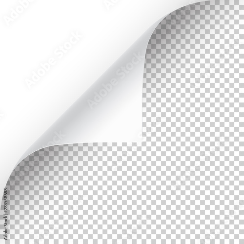 Curled page corner with shadow on transparent background. Blank sheet of paper. Vector illustration.