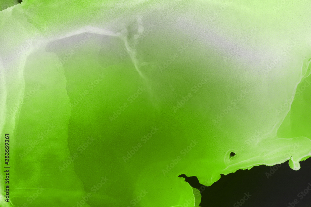 Fototapeta Hand painted alcohol ink background. Abstract delicate green texture. Contemporary wallpaper. 