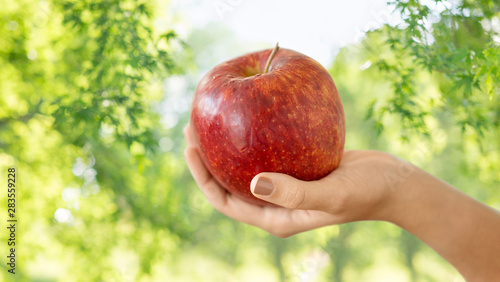food, diet and organic concept - close up of hand holding ripe red apple over green natural background