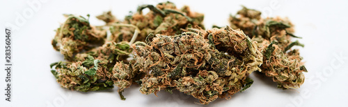 close up view of marijuana buds on white background, panoramic shot